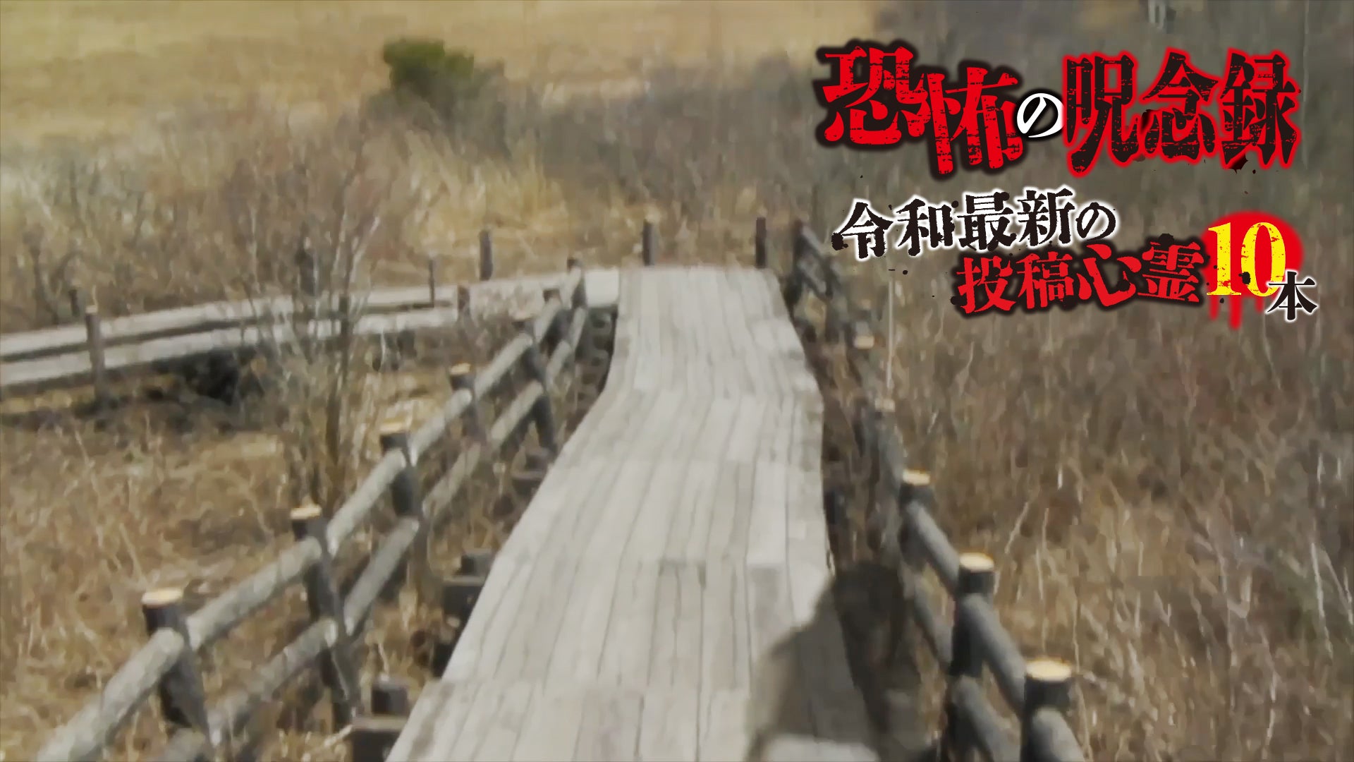 厳選初出し！恐怖の呪念録 令和最新の投稿心霊10本 | Lemino(レミノ