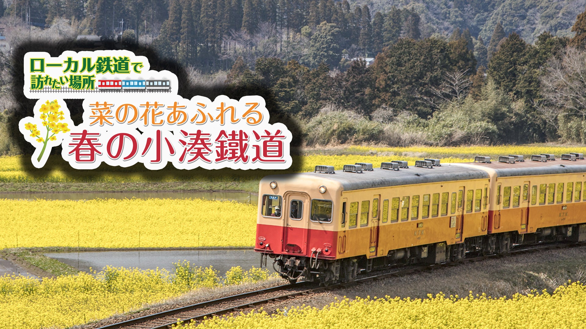 ローカル鉄道で訪れたい場所 菜の花あふれる春の小湊鐵道 | Lemino
