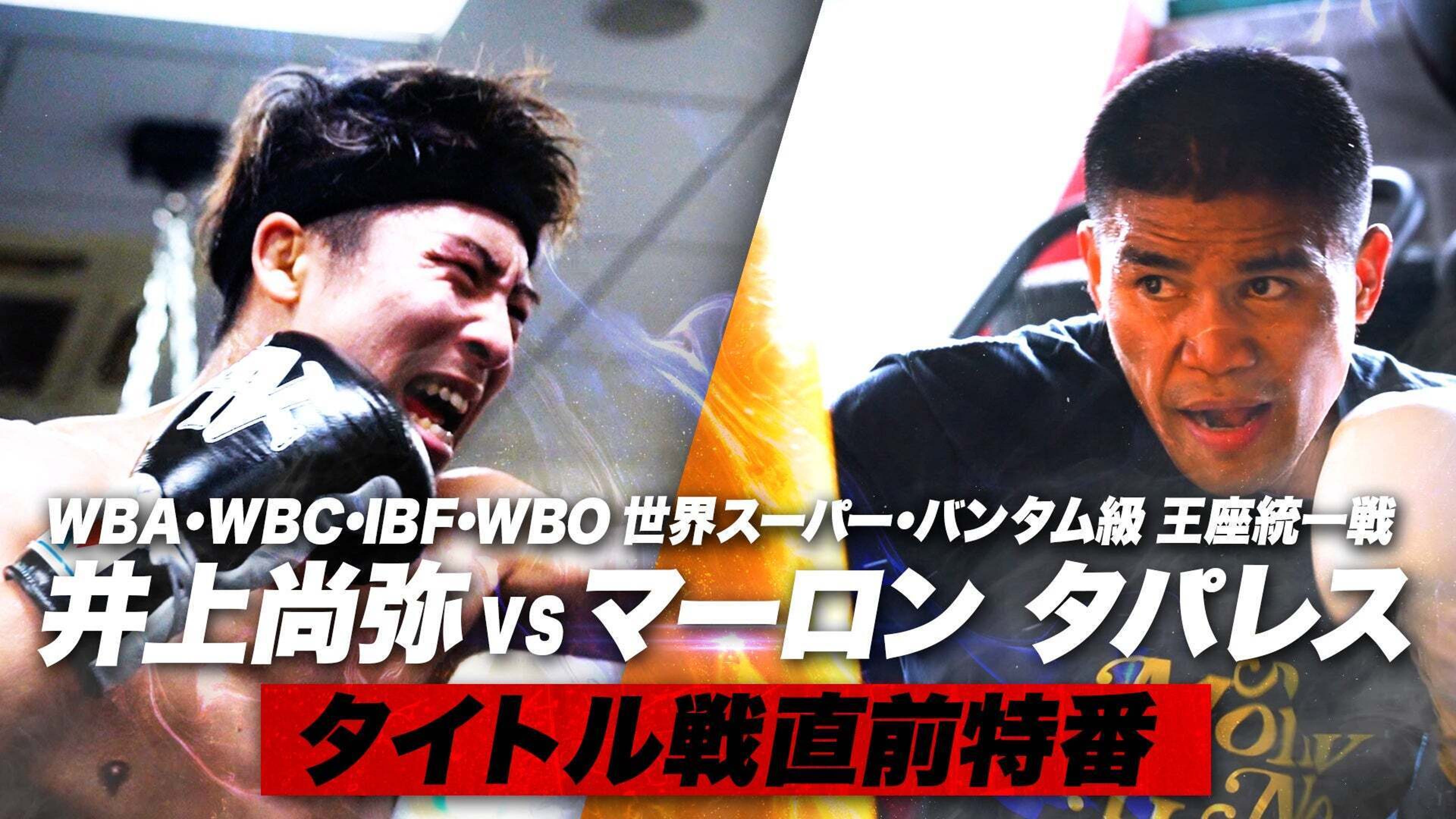 井上尚弥vsマーロン・タパレス戦 プレミアムチェア （井上尚弥「映像見 