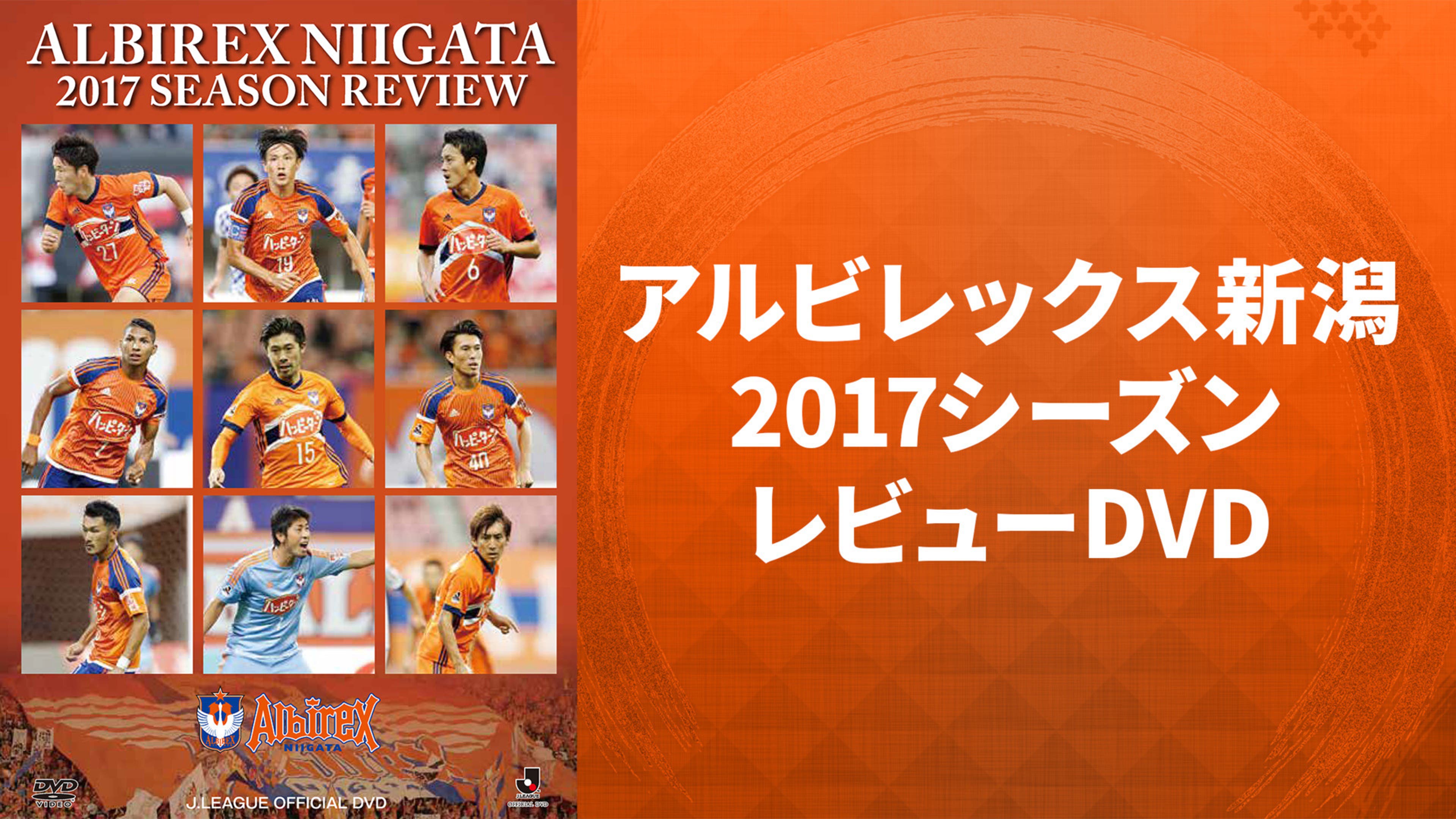 Jリーグ DVD アルビレックス新潟 シーズンレビュー2008 サッカー 熱 