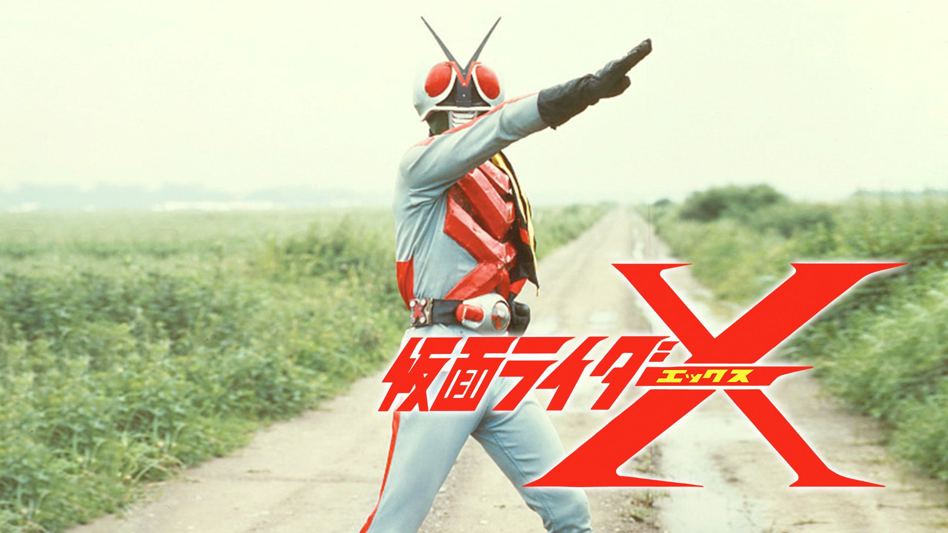 S.H.Figuarts Kamen Rider ZX BANDAI SPIRITS Japan Toei