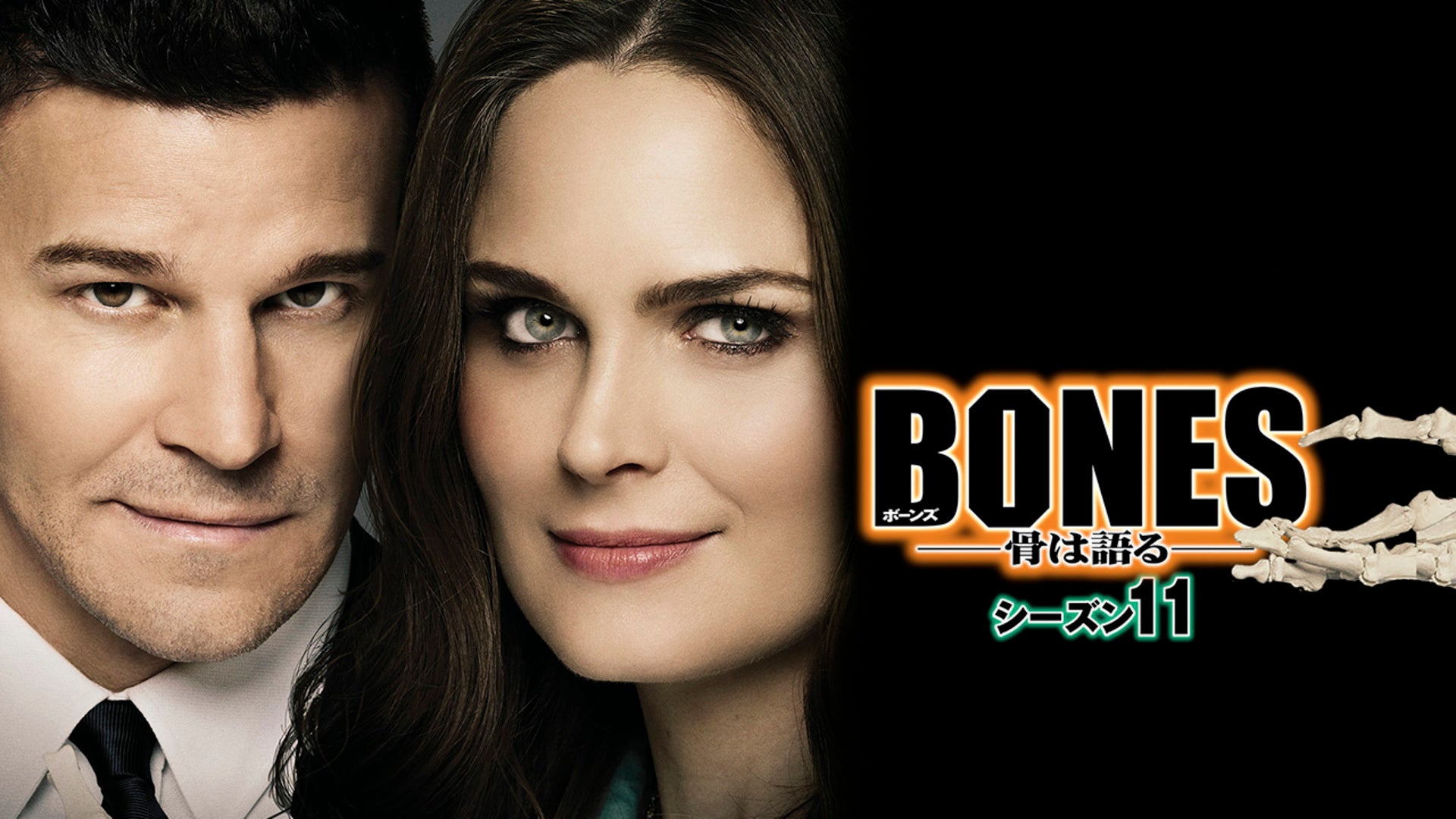 BONES -骨は語る- シーズン11 全22話 | Lemino（レミノ）／ドコモの新しい映像サービス - 知らなかった、大好きへ。