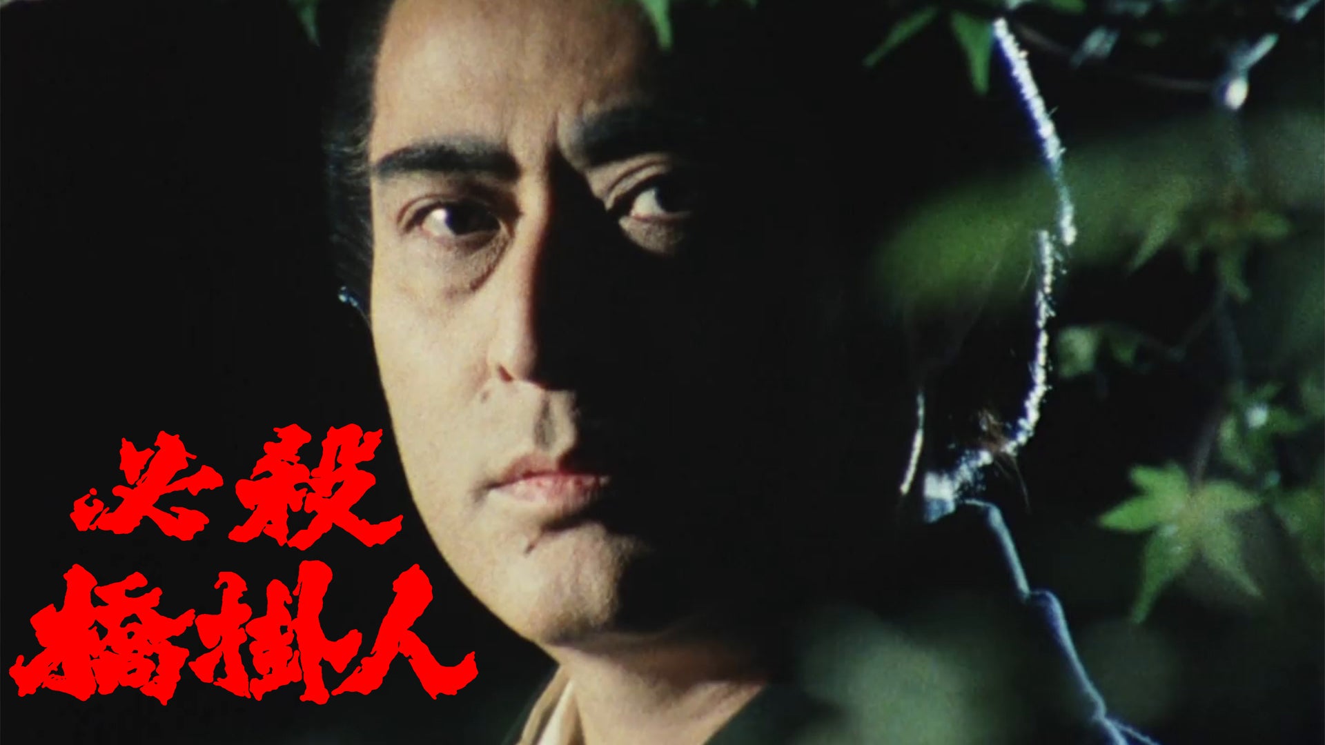 必殺橋掛人 全13回 Lemino(レミノ) 映画・ドラマ・アニメや音楽・ライブが見放題 ドコモの動画配信サービス