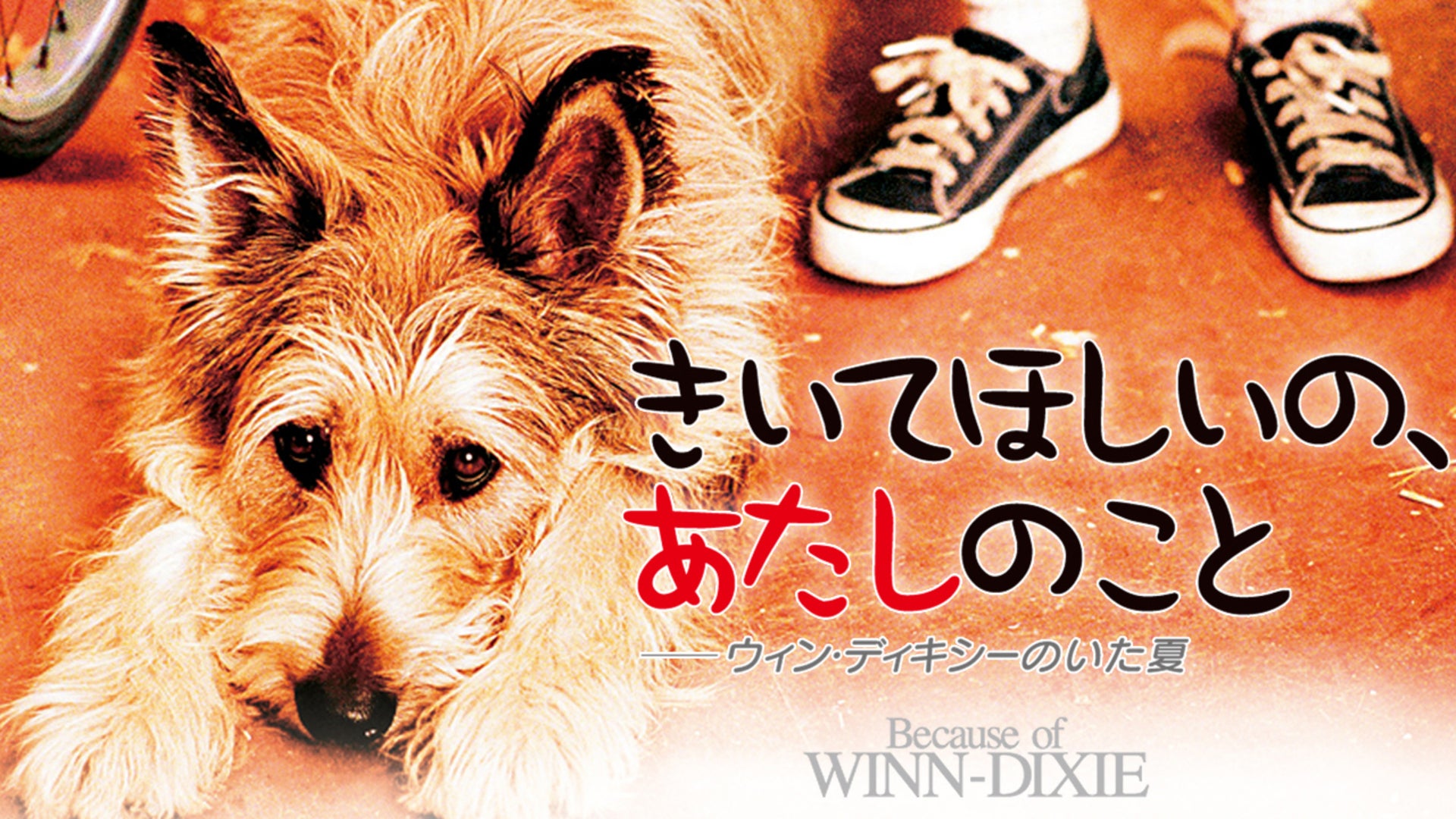きいてほしいの、あたしのこと — ウィン・ディキシーのいた夏