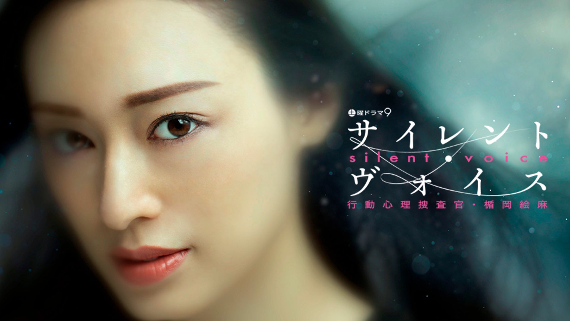 サイレント・ヴォイス 行動心理捜査官・楯岡絵麻 | Lemino(レミノ