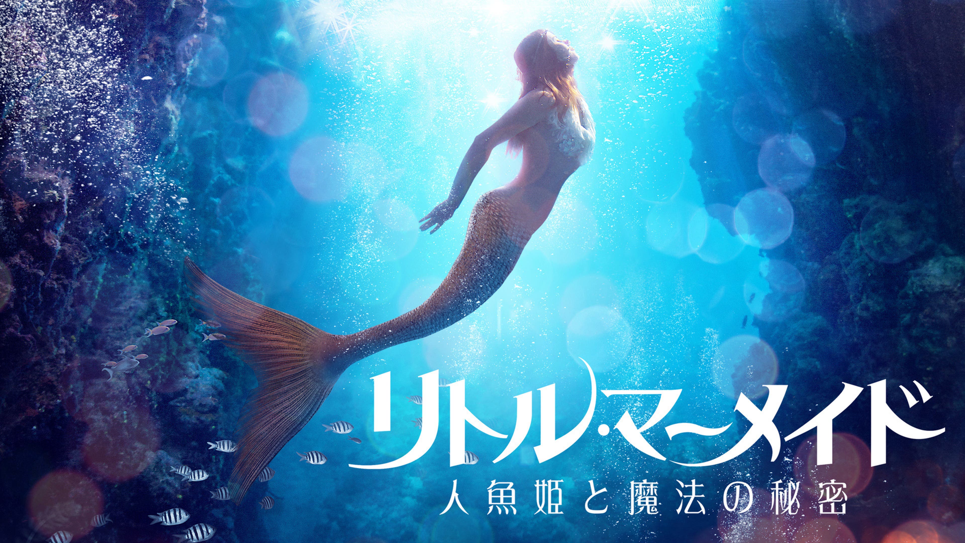 リトル・マーメイド 人魚姫と魔法の秘密 | Lemino(レミノ) - 映画 