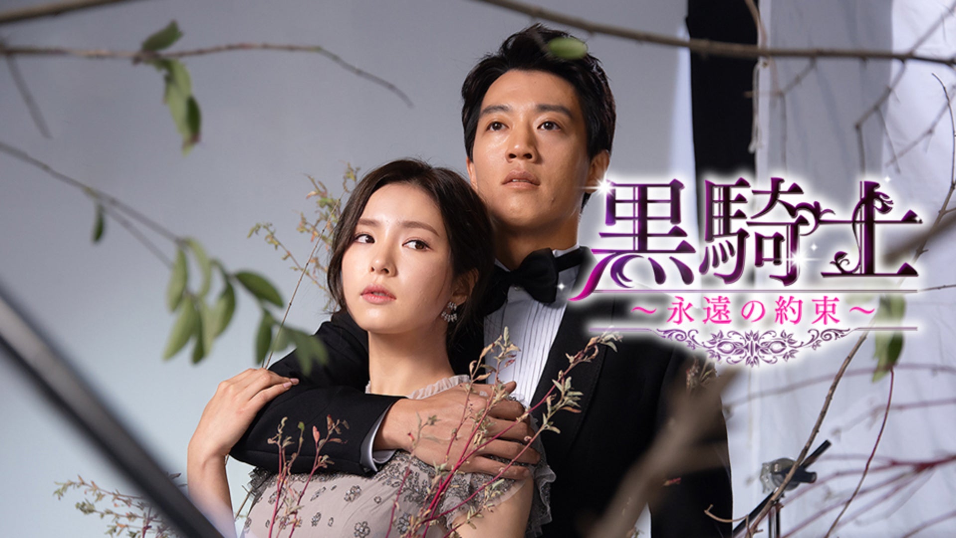 黒騎士〜永遠の約束〜 全30話 | Lemino(レミノ) - 映画・ドラマ