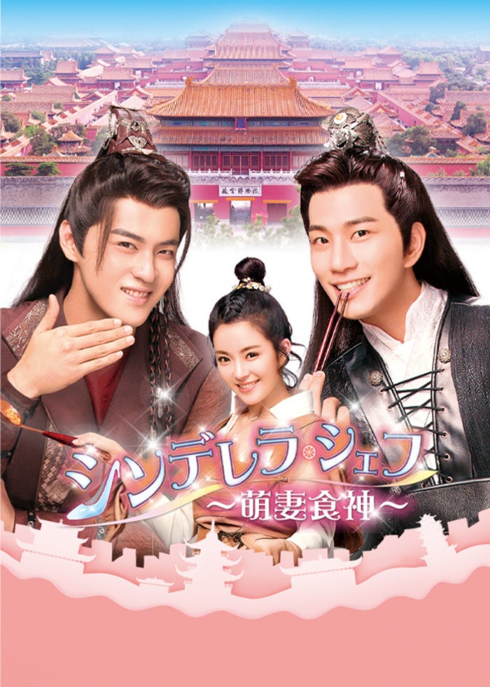 101回目のプロポーズ～SAY YES～('13中国/日) 101回目のプロポーズ～SAY YES～('13中国」DVD リン・チーリン