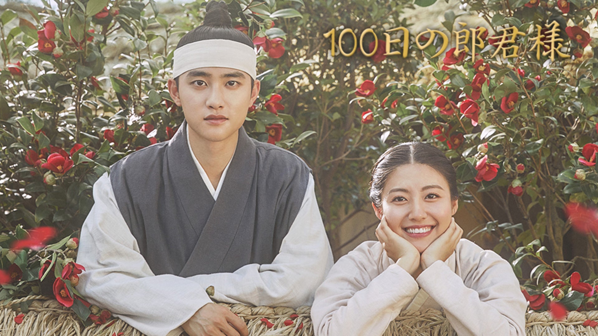 完璧すぎて可愛げがない 100日の郎君様 全16話+スペシャル2話 | Lemino(レミノ) - 映画 タレントカード