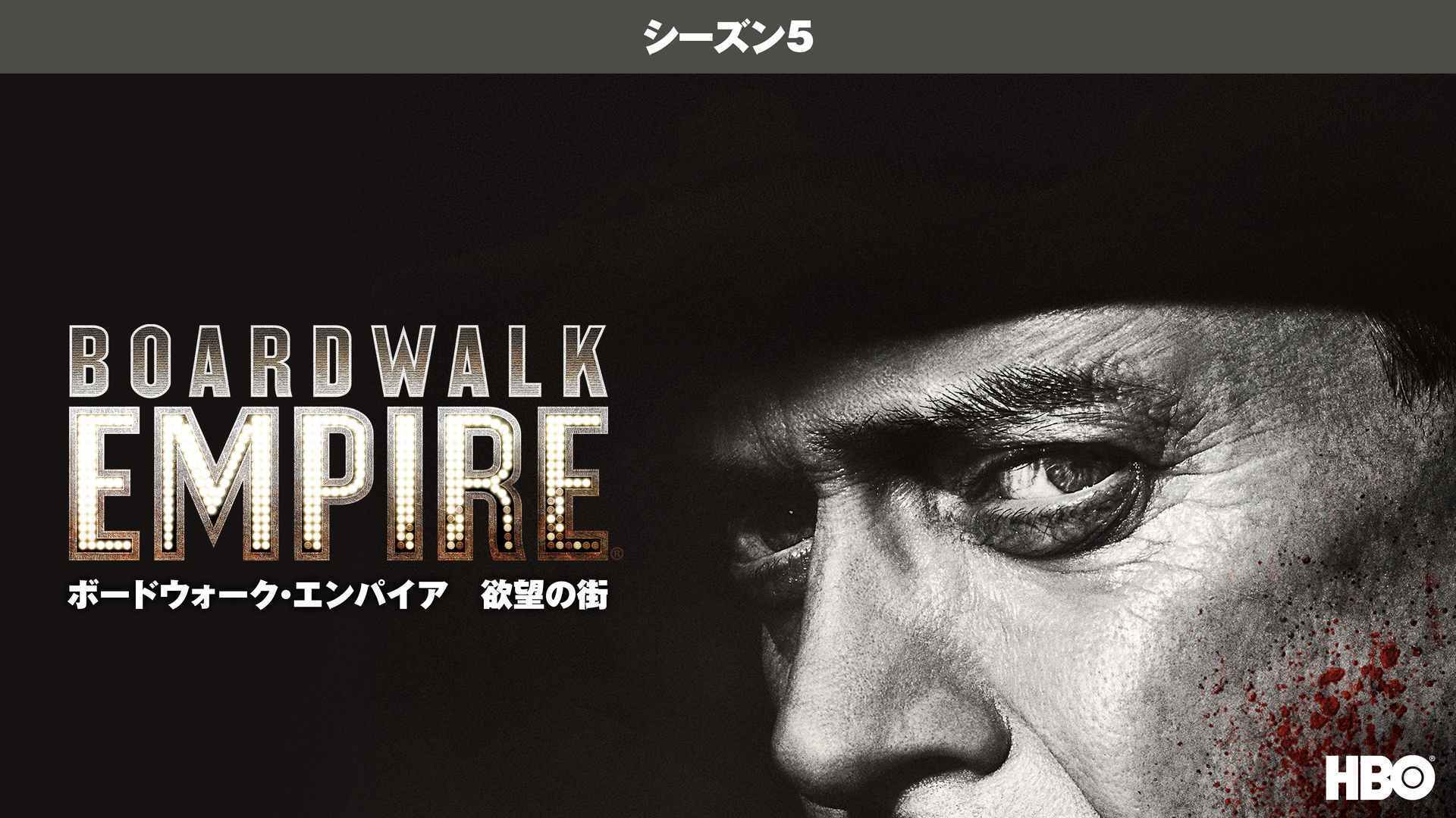ボードウォーク・エンパイア 欲望の街 シーズン5 全8話 | Lemino