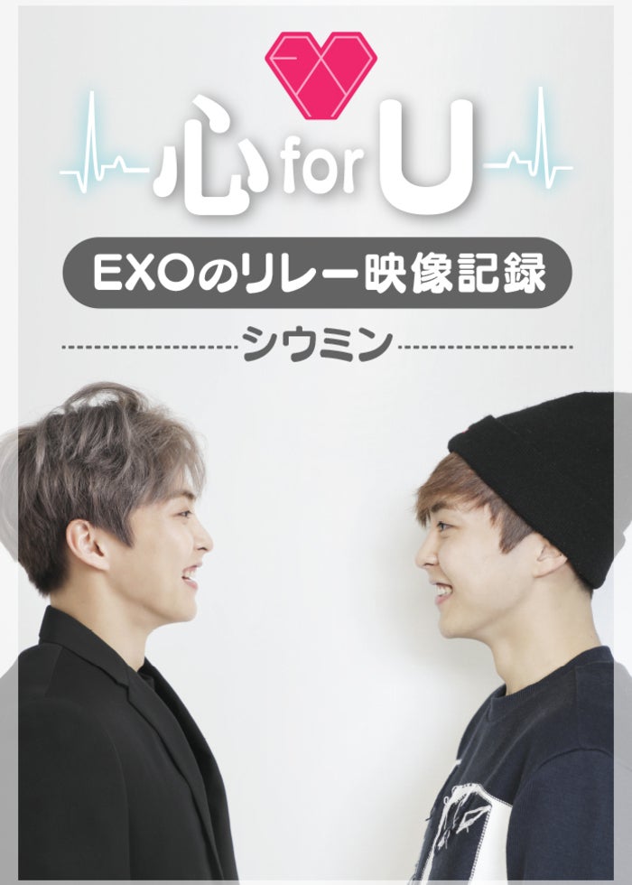 Caratland 2020 コンプ たる*一覧 on X: 