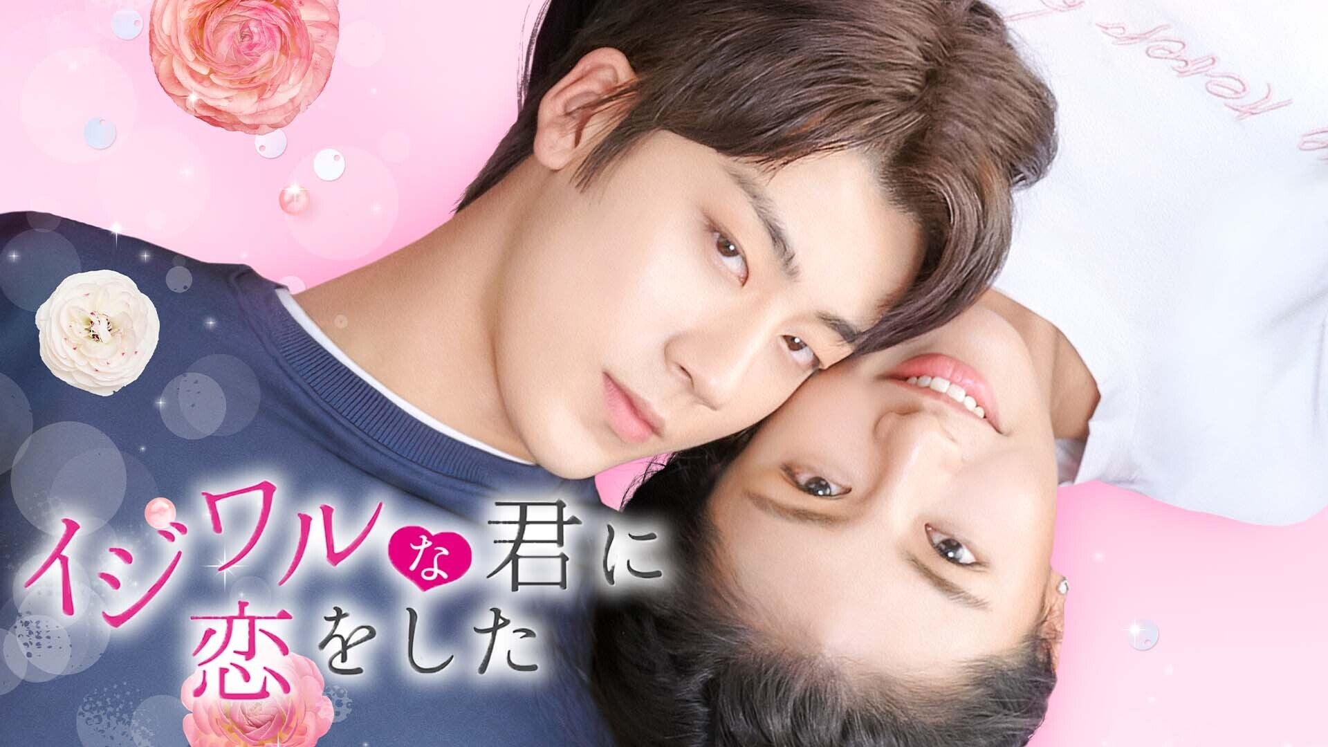 イジワルな君に恋をした～Sweet First Love～ DVD全巻セット