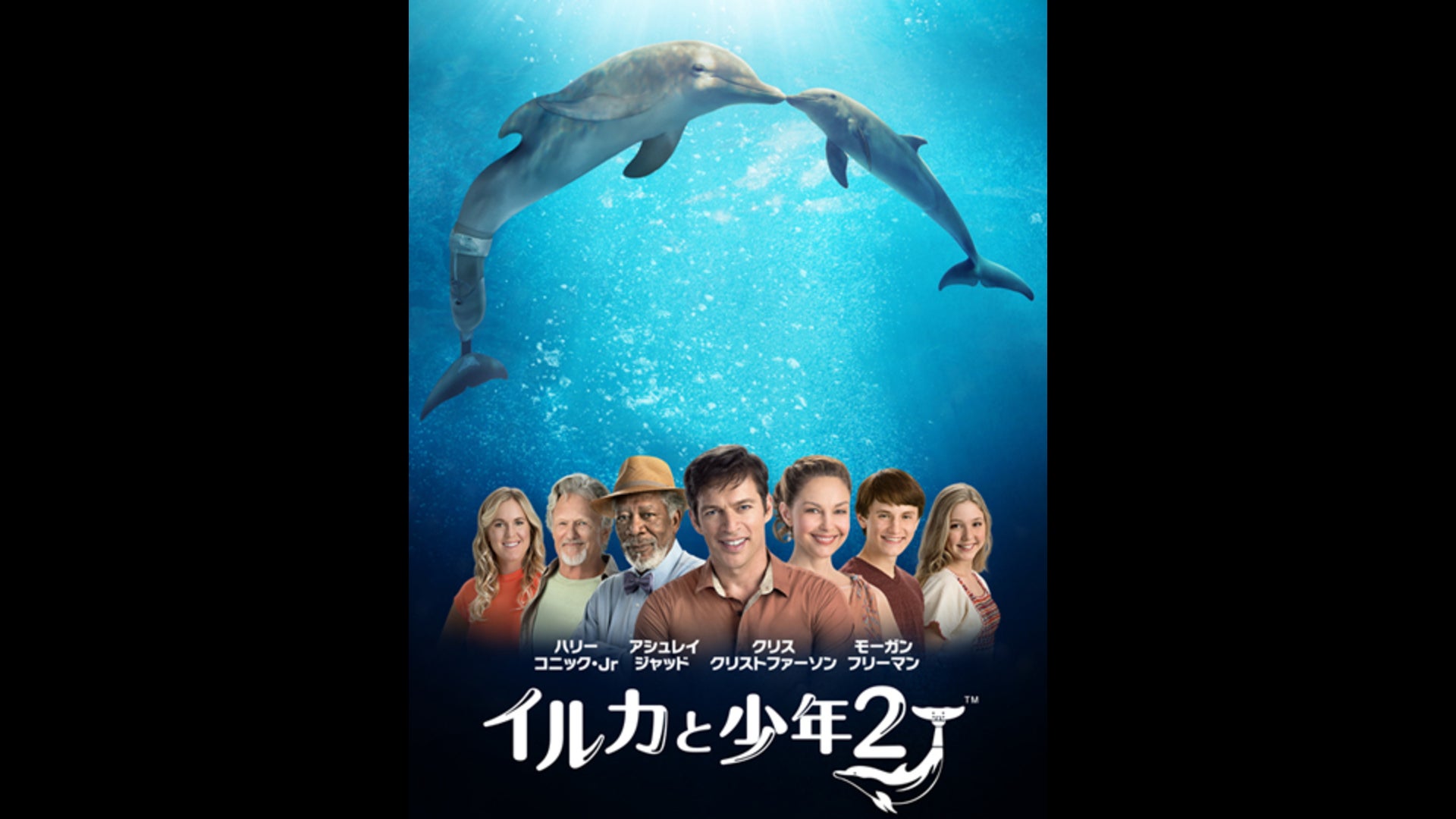 イルカと少年2 Lemino(レミノ) 映画・ドラマ・アニメや音楽・ライブが見放題 ドコモの動画配信サービス