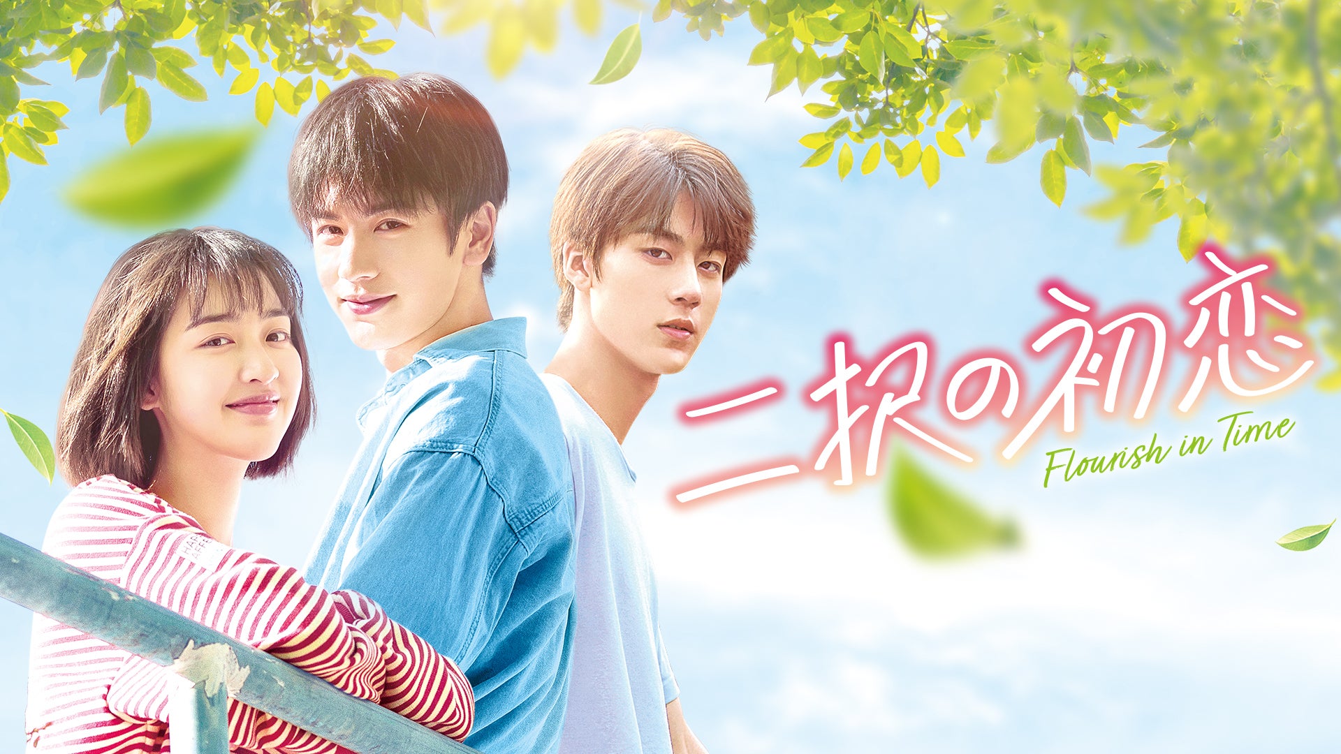 二択の初恋 中国ドラマ【二択の初恋】全話 DVD＆Blu-ray | 韓国ドラマショップ K-TOWN