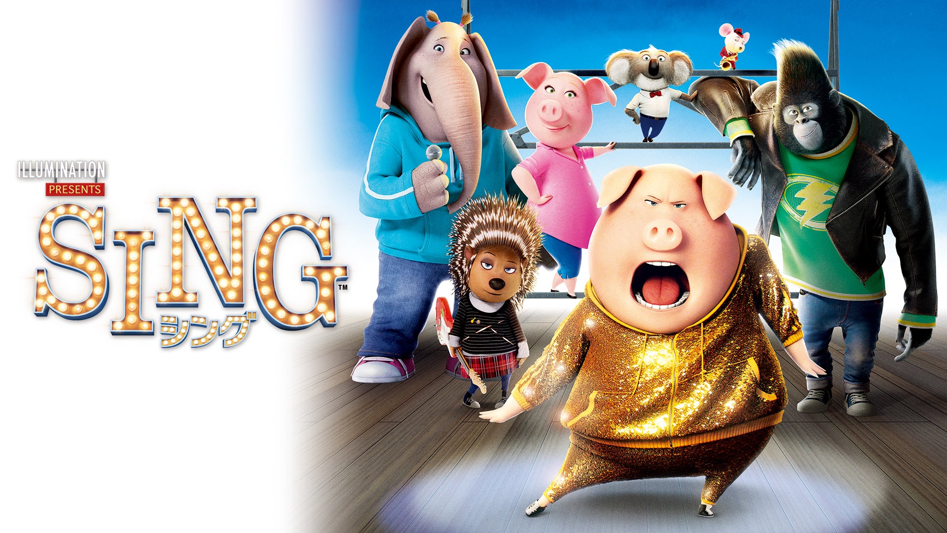 シンクレブ 超美品】シンクレブ 15ポンド プラグなし storm ハイ