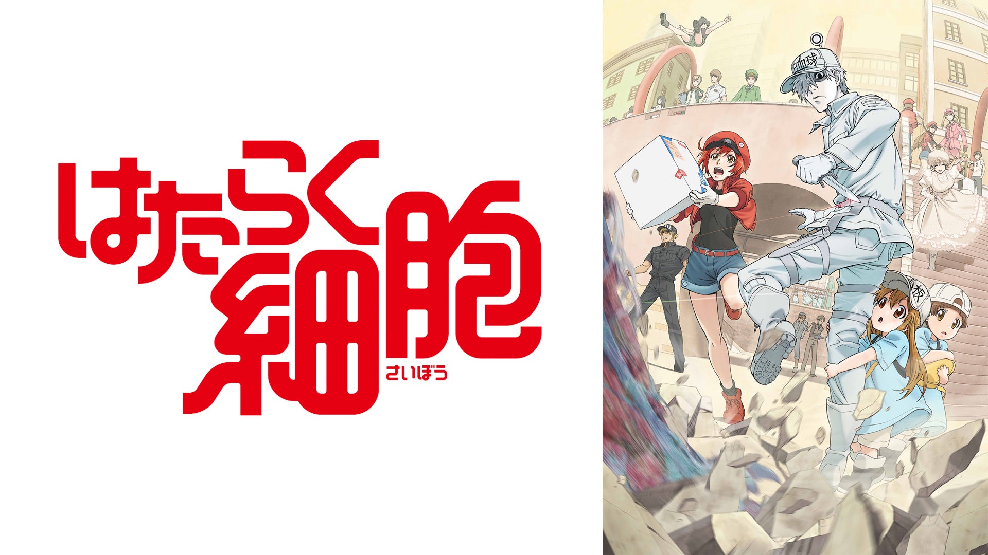 はたらく細胞 ０１～05 Amazon.co.jp: はたらく細胞 1-5巻 新品セット : 清水 茜: 本