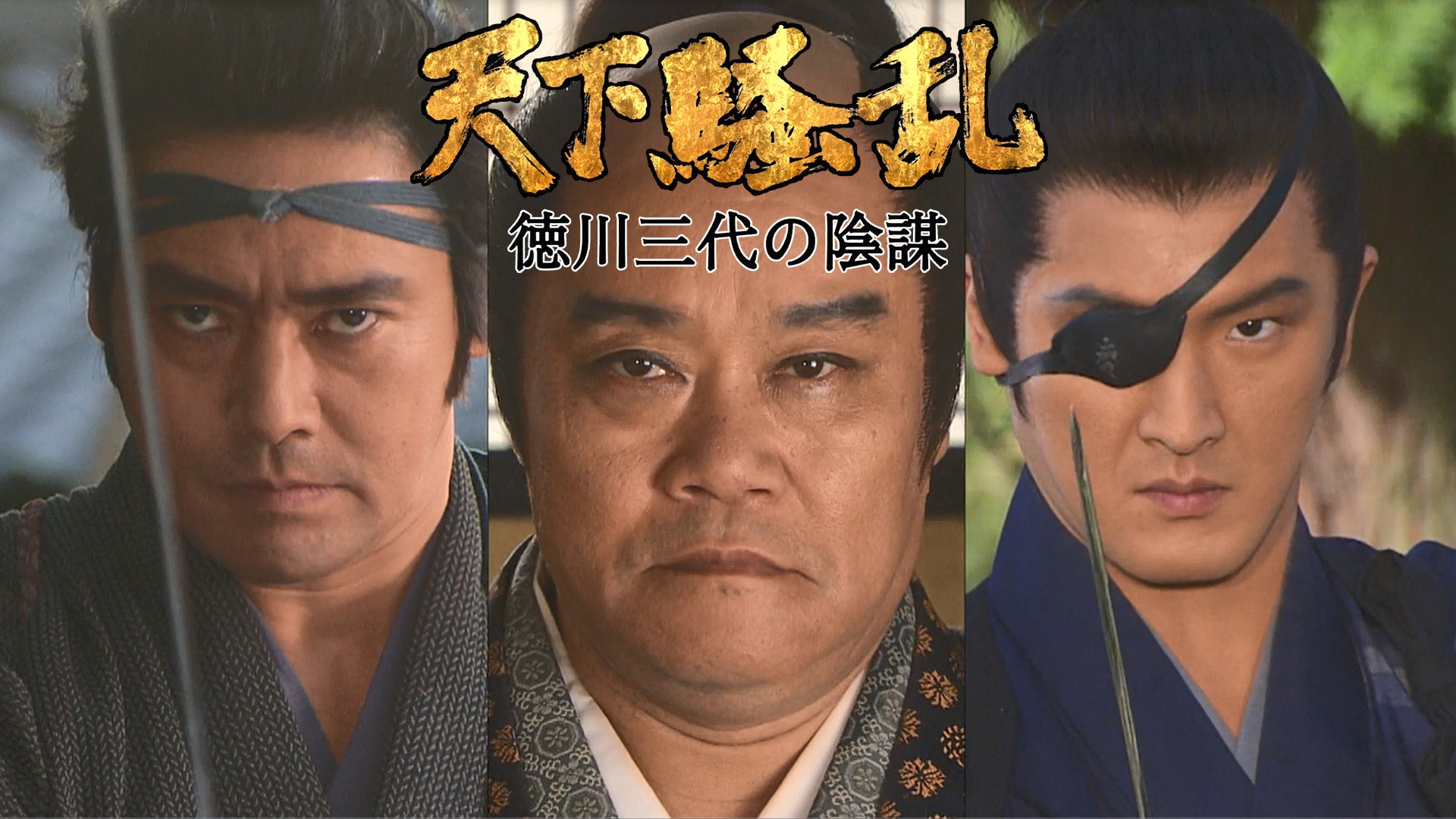 天下騒乱 徳川三代の陰謀 | Lemino(レミノ) - 映画・ドラマ