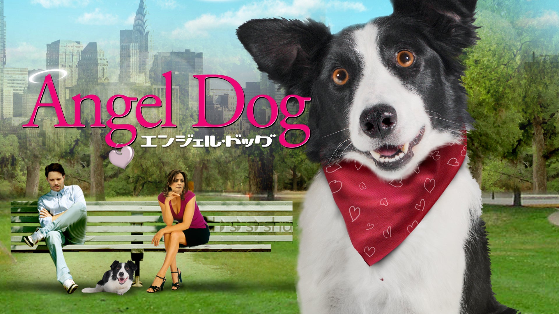 官能劇画　犬 エンジェル・ドッグ | Lemino(レミノ) - 映画・ドラマ・アニメや音楽・ライブが見放題 | ドコモの動画配信サービス