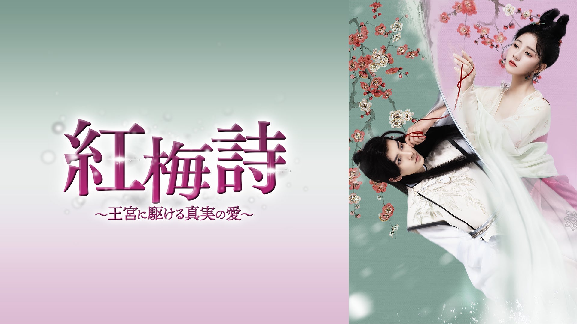 最終値下げ！2/20出品終了。欲しい方お早めに！ミアーニ 2011