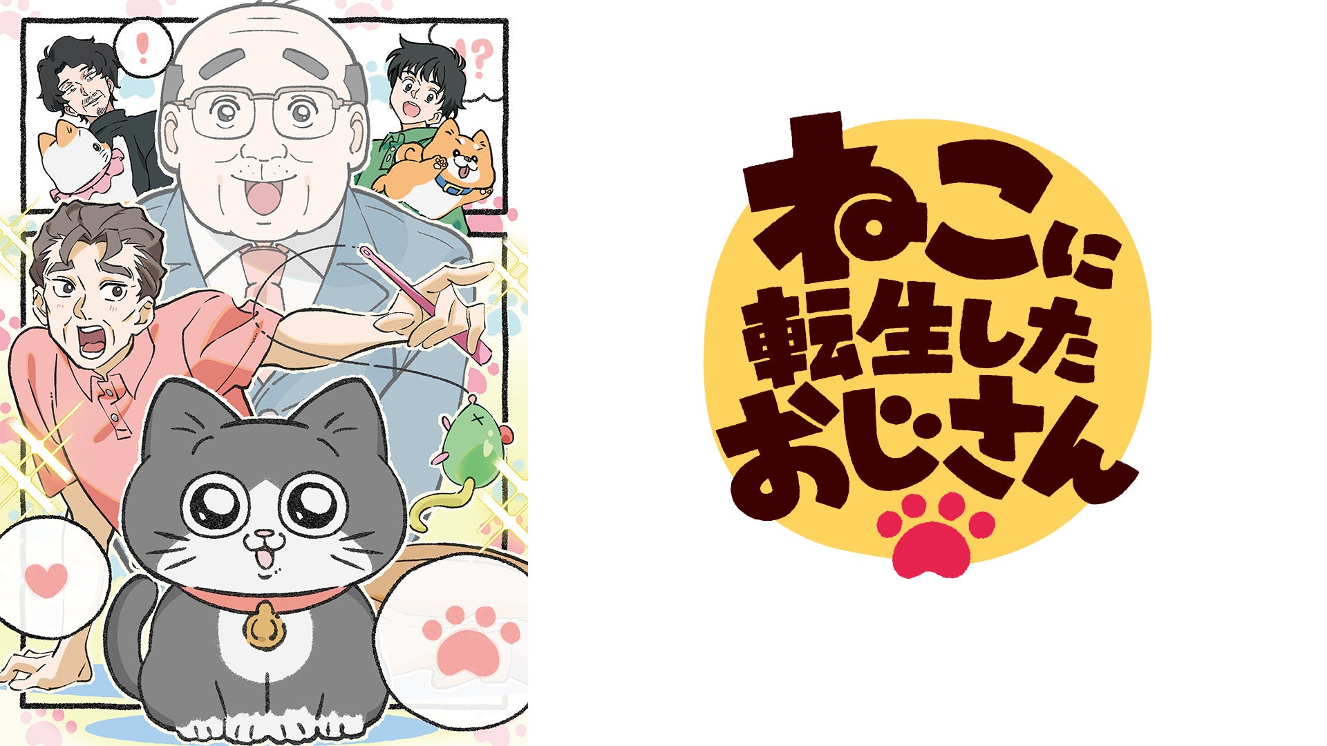 ねこ【プロフ必読】【返信遅れます】 　no2 ねこ【プロフ必読】【返信遅れます】 no2 ねこ【プロフ必読】【返信