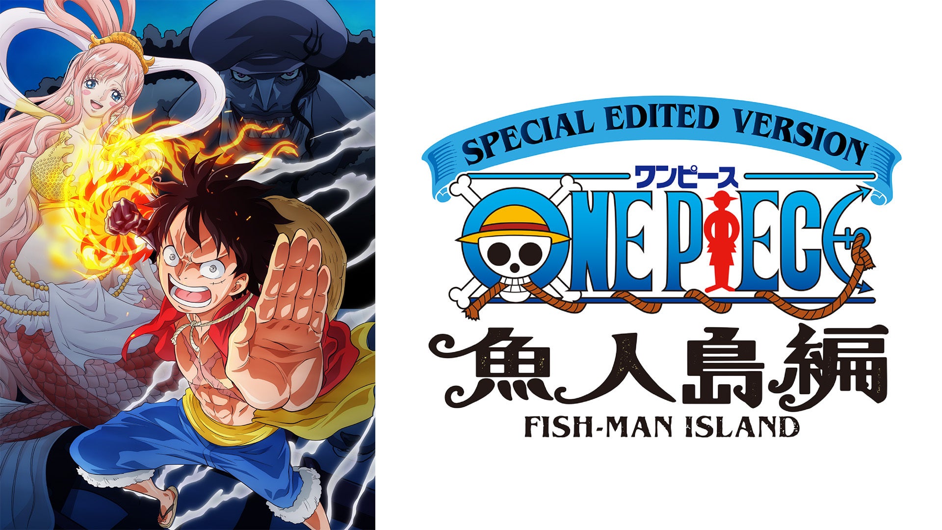 SPECIAL EDITED VERSION 『ONE PIECE』魚人島編 | Lemino(レミノ