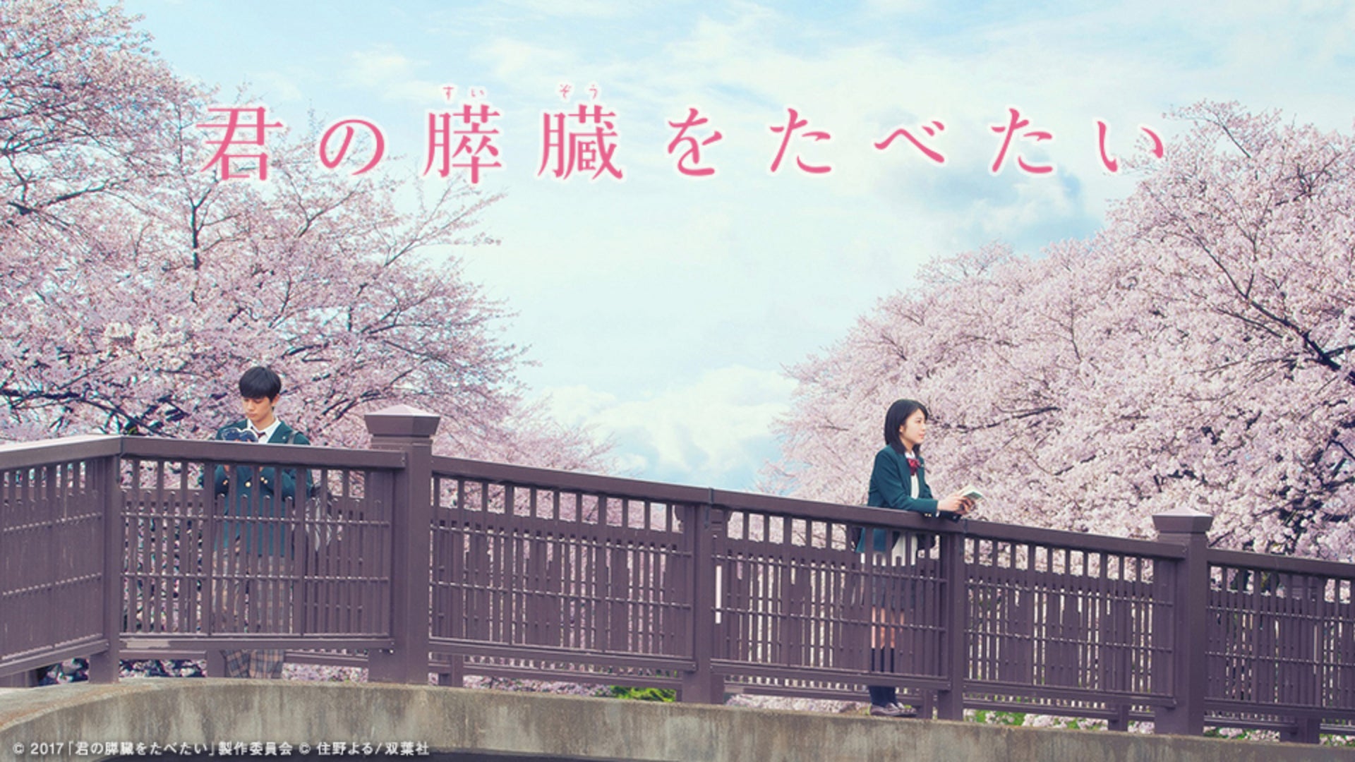 君の膵臓をたべたい 下 君の膵臓をたべたい(下) (アクションコミックス(月刊アクション