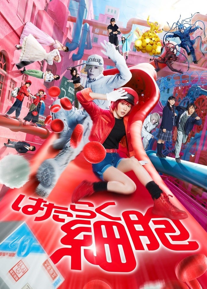 静かなるドン 第1章 | Lemino(レミノ) - 映画・ドラマ・アニメや音楽