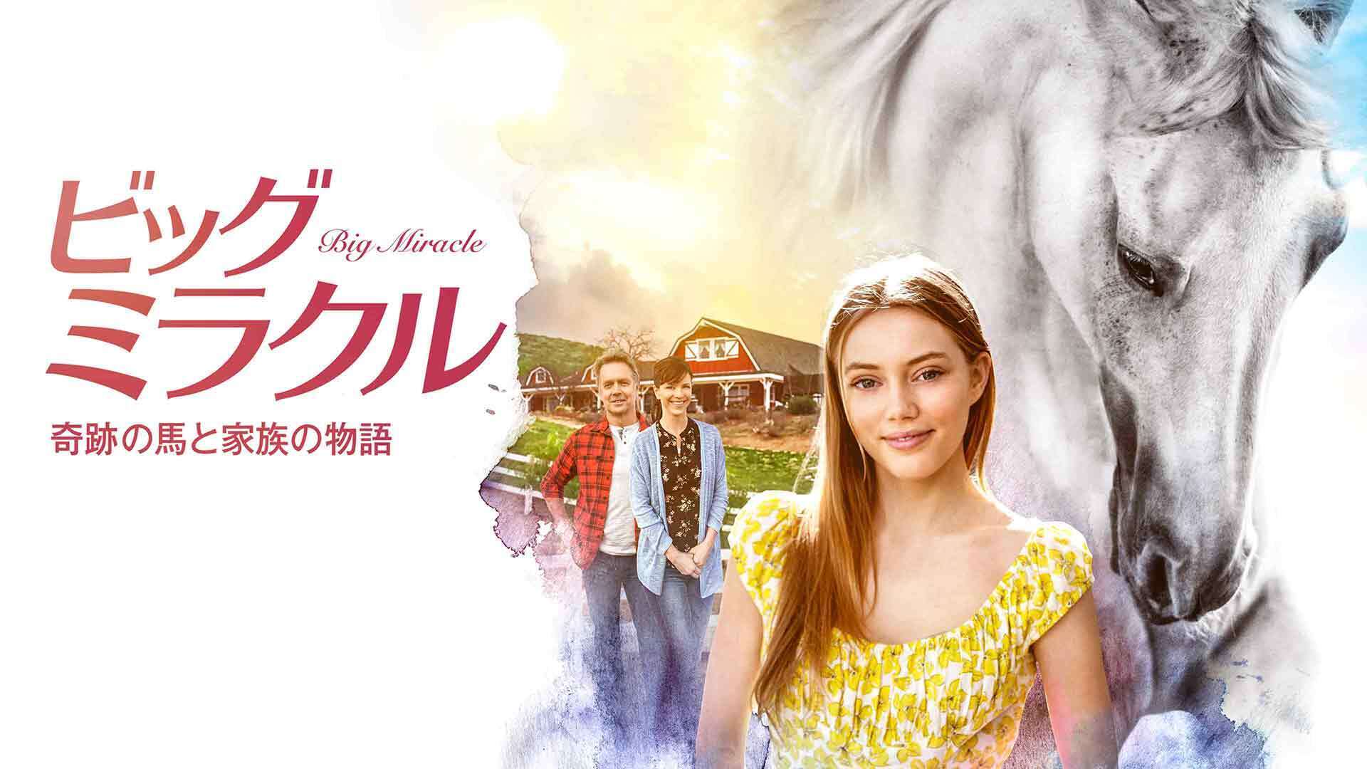 ビッグ・ミラクル 奇跡の馬と家族の物語 | Lemino(レミノ) - 映画
