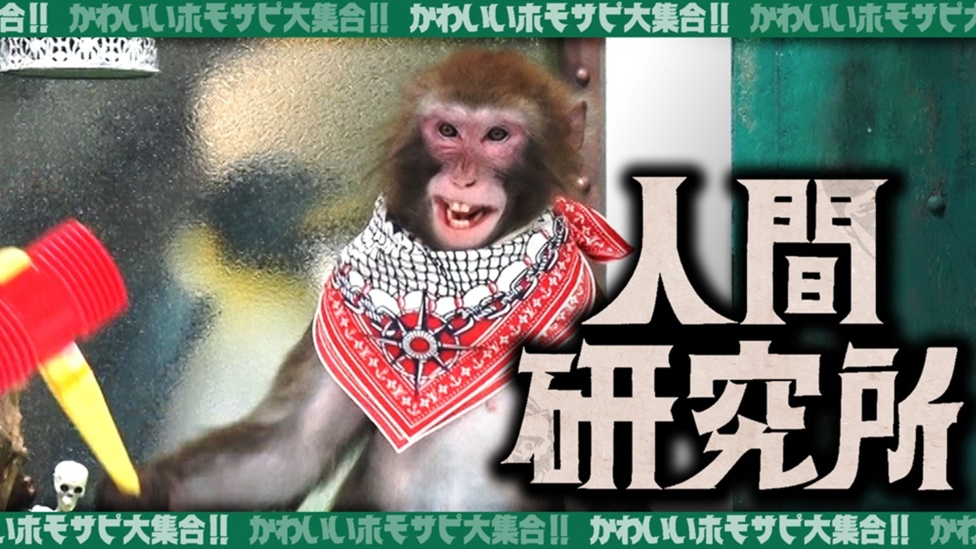 人間研究所 ～かわいいホモサピ大集合!!～ | Lemino(レミノ) - 映画