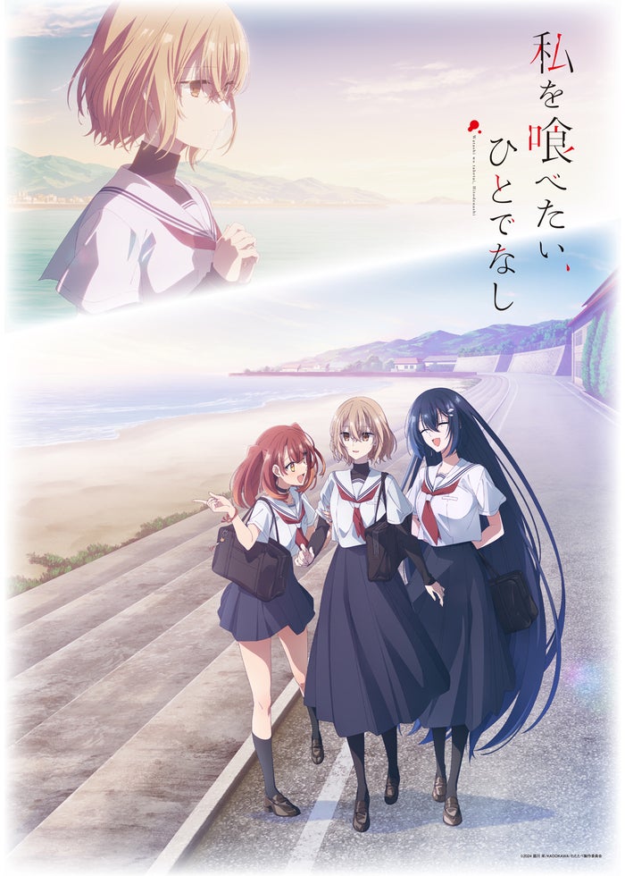 この素晴らしい世界に祝福を！紅伝説 フルコンプ この素晴らしい世界に祝福を！紅伝説 フルコンプ Amazon.co.jp