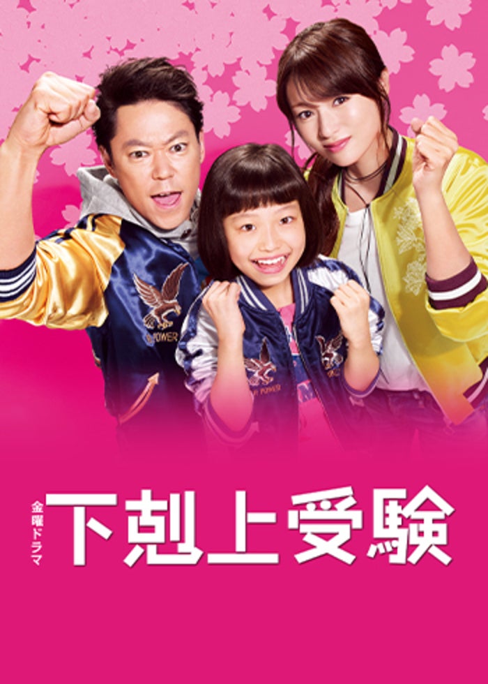 新品ケース交換済　チーム・バチスタ season1+2+3+4+SP 関連作5本 チーム・バチスタSP2011～さらばジェネラル！天才救命医は愛する人を