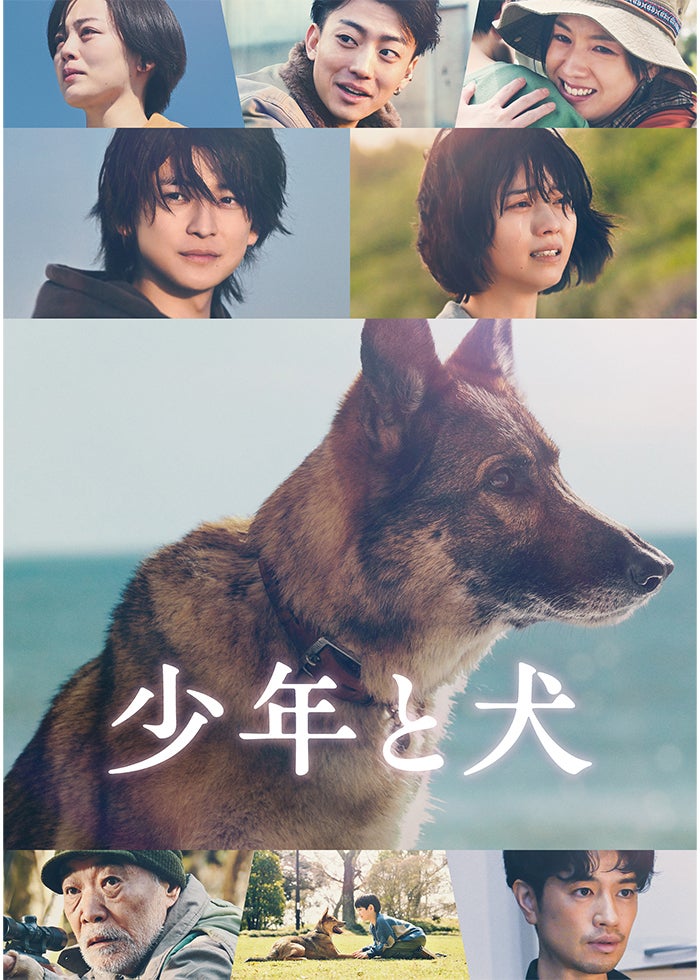 タスマニア物語 | Lemino(レミノ) - 映画・ドラマ・アニメや音楽