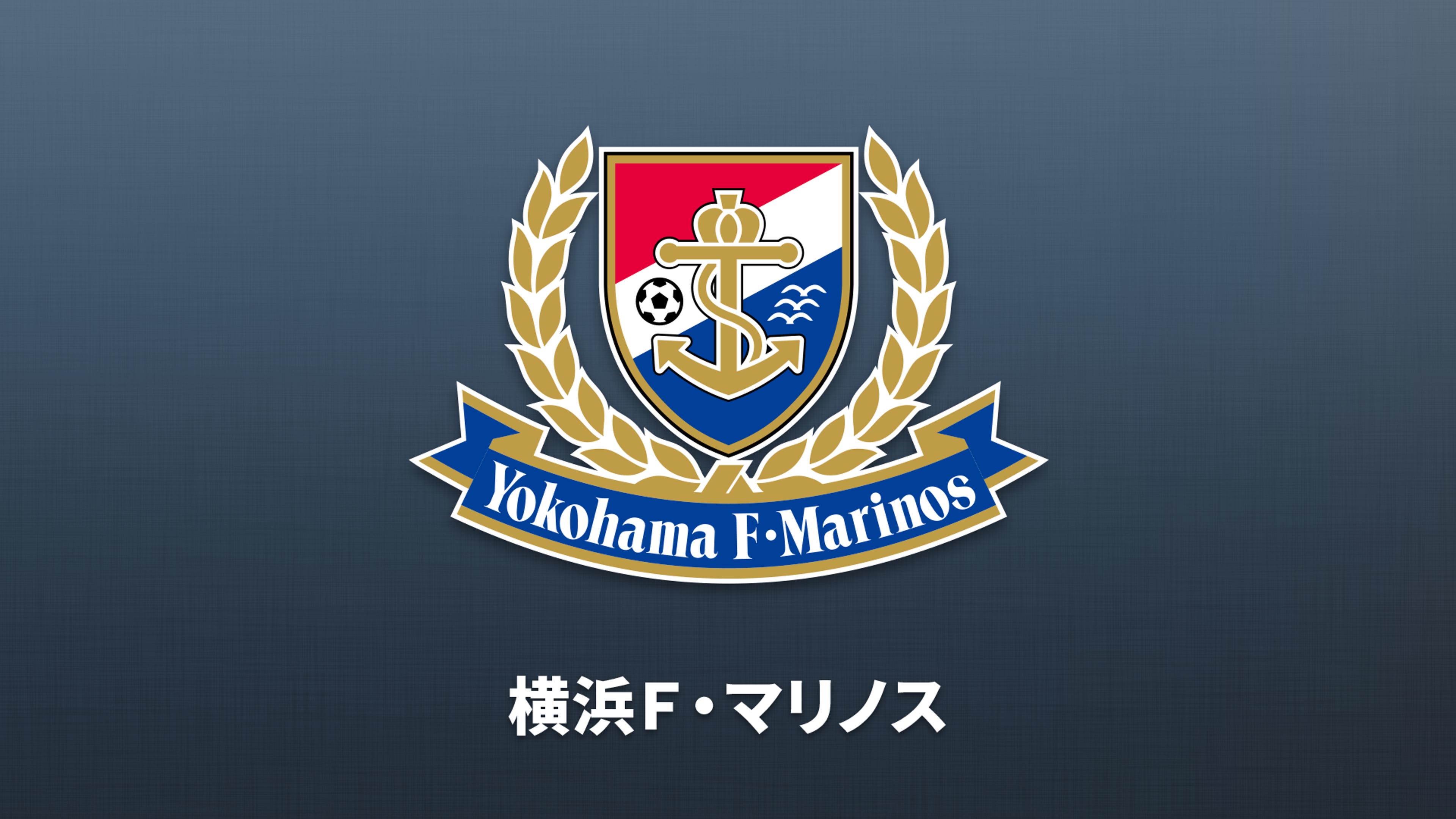 横浜F・マリノス | Lemino(レミノ) - 映画・ドラマ・アニメや音楽